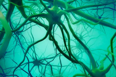 Neuroscience